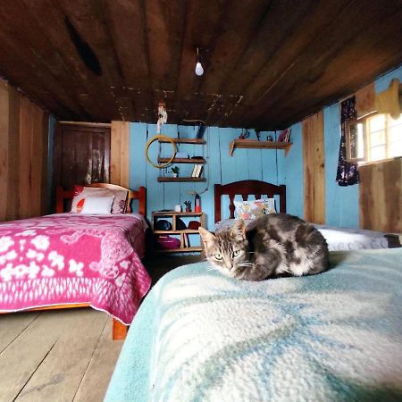 Patricia And Ned'S Cloud Forest Farm Котакачи Экстерьер фото