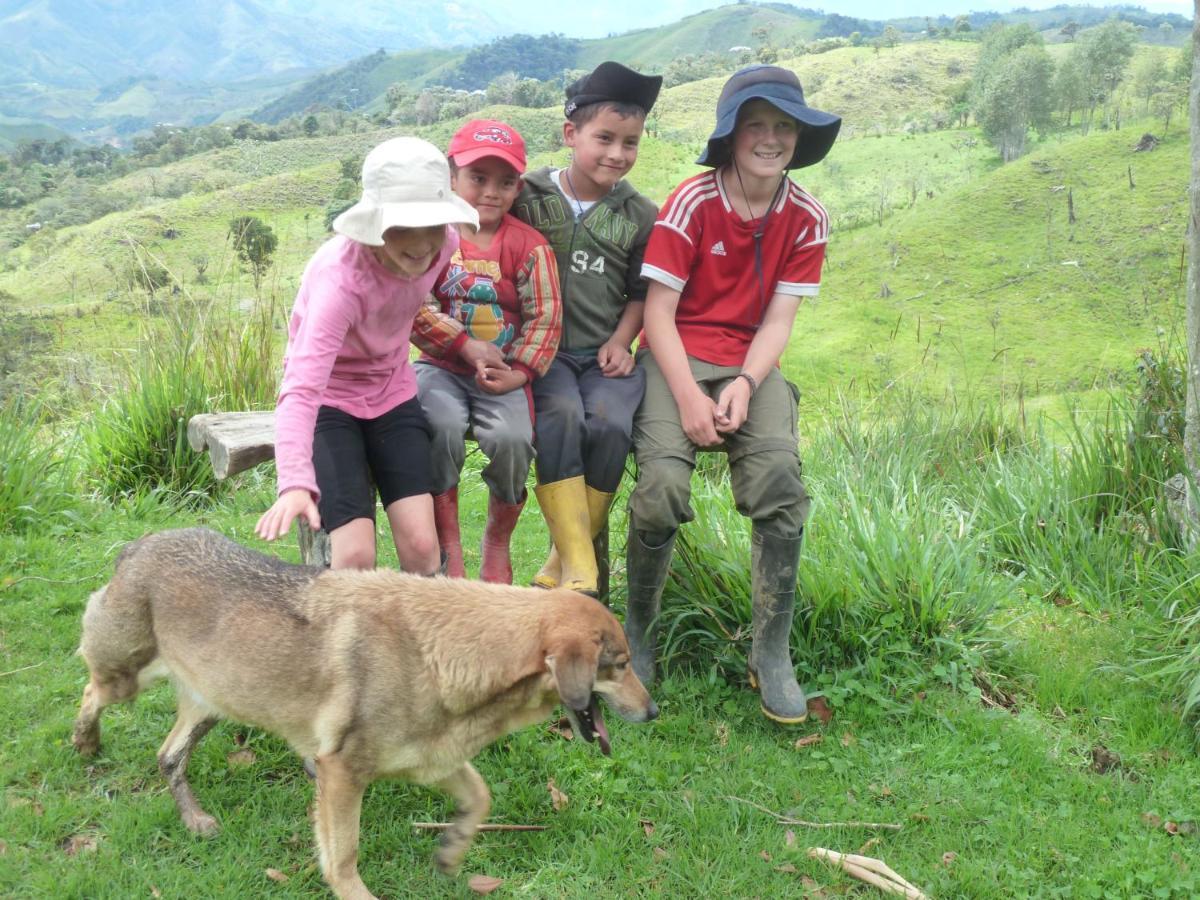 Patricia And Ned'S Cloud Forest Farm Котакачи Экстерьер фото