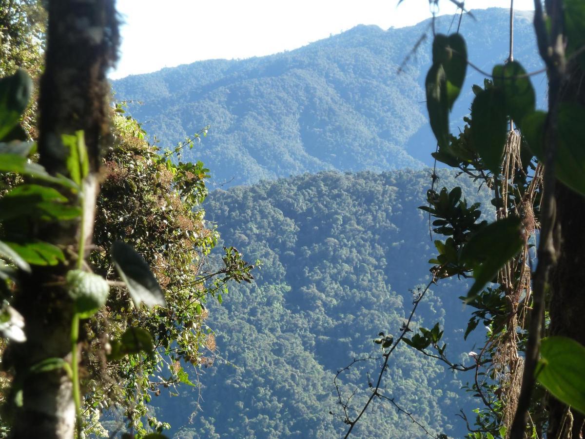 Patricia And Ned'S Cloud Forest Farm Котакачи Экстерьер фото