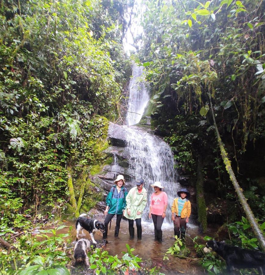 Patricia And Ned'S Cloud Forest Farm Котакачи Экстерьер фото